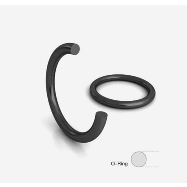 O-Ring